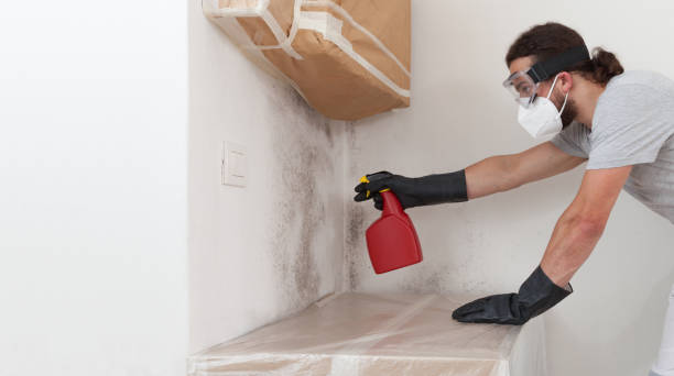 Professional Mold Removal technician working in McHenry, IL