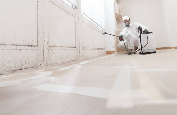 24/7 Emergency Mold Removal experts in McHenry, IL