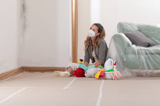 Reliable Mold Removal contractor in McHenry, IL by Mold Remediation HQ